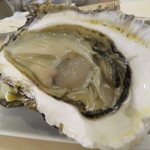 オステリア オージオ ソット - 【再訪4】岩牡蠣