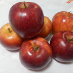 伊藤果樹園 - 美味しいリンゴ♡