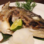 最強鮨居酒屋 やまのや - カンパチ塩焼き