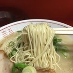 博多大砲ラーメン - 麺も少し博多ん比べたら太か！こいは絶対に普通かヤワがよかけん♪