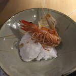 第三春美鮨 - 2015.10.16 クルマエビ　全部食べられる