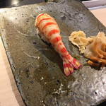 第三春美鮨 - 2015.10.16 天然クルマエビ　愛知県一色