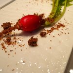 NARISAWA - 里山からの贈り物(採れたてのラディッシュ)