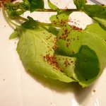 NARISAWA - 里山からの贈り物(採れたてのラディッシュ)