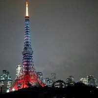 ザ・プリンス パークタワー東京 - 宿泊部屋のバルコニーからの夜景！