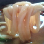 ほくほく庵 - みそ煮込みうどんの麺のアップです。