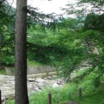 時の宿 すみれ - 