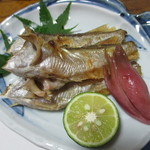 ・・・ - ハタハタ