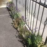 Aimer - 入口も素敵