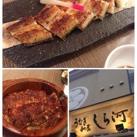 しら河 浄心本店 - 