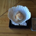 悠林館 - ホタテ7です。