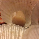 悠林館 - プリプリしています。