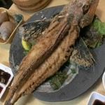 タカマル鮮魚店 - ホウボウはかなり大きなサイズ