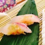 寿司茶屋 すし活 - 