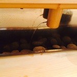 寿司茶屋 すし活 - 