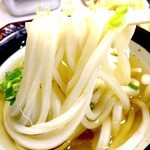 うどん 丸香 - 麺が最高に旨い！