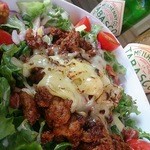 アースカラー - 