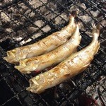 Robata Omoto - 