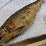 風の盆 - 岐阜長良川の子持ち鮎