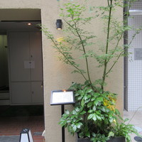ぎんざ 一二岐 - 