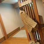 水の謌 - アート