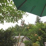 露伴亭 - 外テーブルからの景色(いちじくの実かな？)(2015.9)