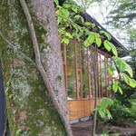 トラットリア プリモ - 今日も木々がで迎えてくれます（春）