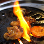 白川苑 - ホルモン５５０円