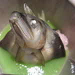 日本料理てら岡 - 鮎の道明寺蒸し