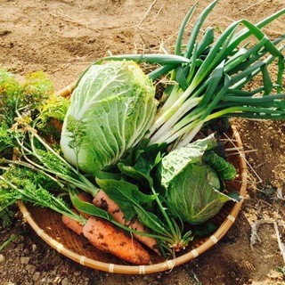 地元の農家と契約！こだわりの地産地消