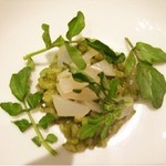 SALONE 2007 - 2015.10.  『colorazione/ 緑彩 リゾット・バジリコ・アオリイカ』