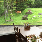 層雲峡 朝陽亭 - 鹿を眺めながらの朝食