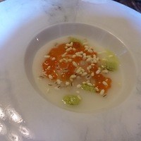 cenci - 