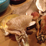 分田上 - 角シメジ