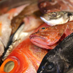 Youchiyan - 毎朝、ピチピチの新鮮な魚達を神戸中央卸市場で仕入れています！