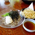 そば処 水無湧水庵 - 冷やしとろろ蕎麦＋かき揚げ