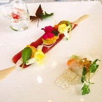 サンシャイン クルーズ・クルーズ - 