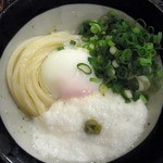 うどん 丸香 - 山かけ＋温泉玉子