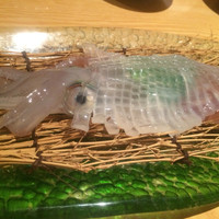 会員制 寿司割烹鷹勝 博多総本店 - 