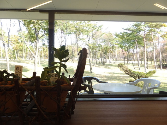 秋田グリーンサムの杜 - 出戸浜（洋食）の写真