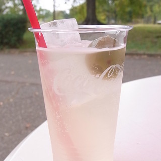 せせらぎ広場売店_0