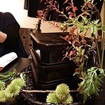 北新地 湯木 - 八寸