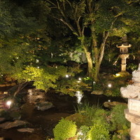 がんこ 高瀬川二条苑 - ライトアップされた庭園