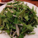 東北人家 - パクチーサラダ