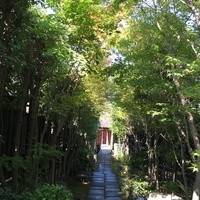 おしょくじ處 今 - 帰路