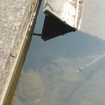 料亭 やまさ旅館 - 