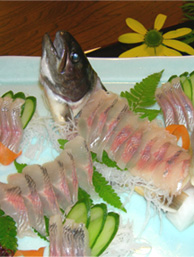 旅館　大黒屋（甲子温泉） - 西郷村その他（料理旅館）の写真