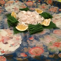 臼杵ふぐ山田や 大分都町店 - ふぐ刺し