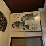 Sushishige - 石鯛の魚拓