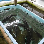 まるは食堂旅館 - 